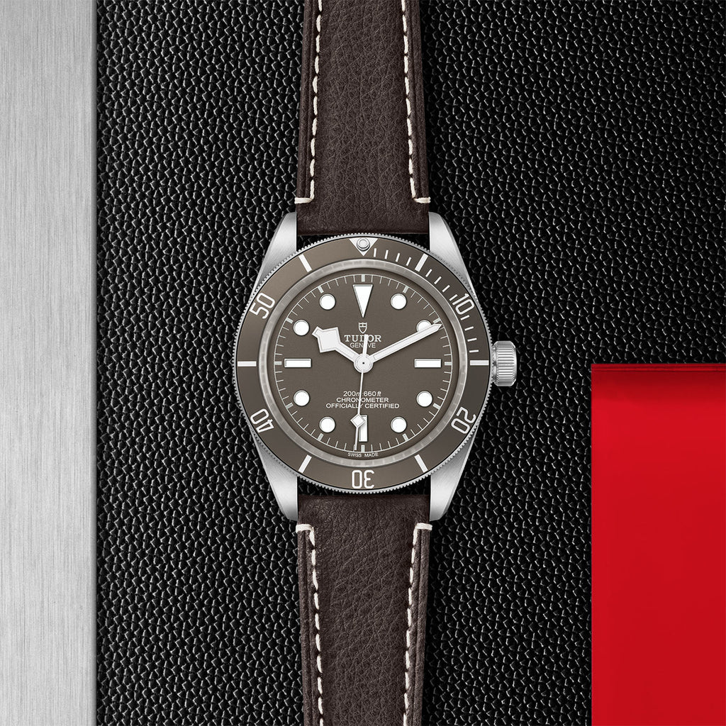 TUDOR Black Bay 58 925 - M79010SG-0001