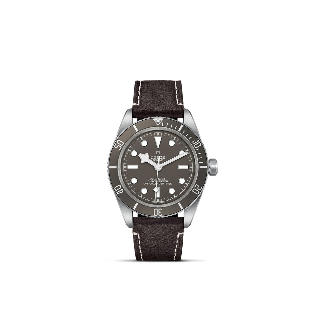 TUDOR Black Bay 58 925 - M79010SG-0001