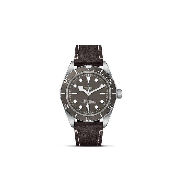 TUDOR Black Bay 58 925 - M79010SG-0001