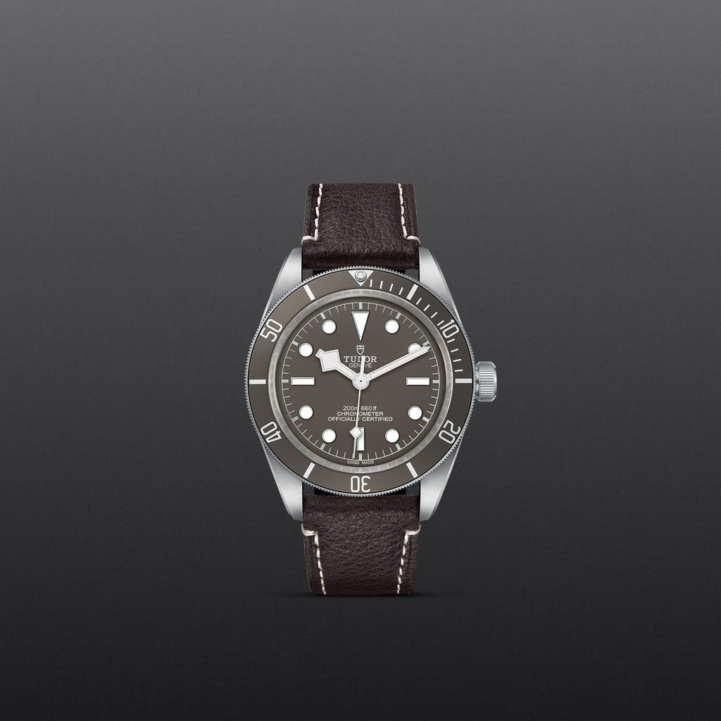 TUDOR Black Bay 58 925 - M79010SG-0001