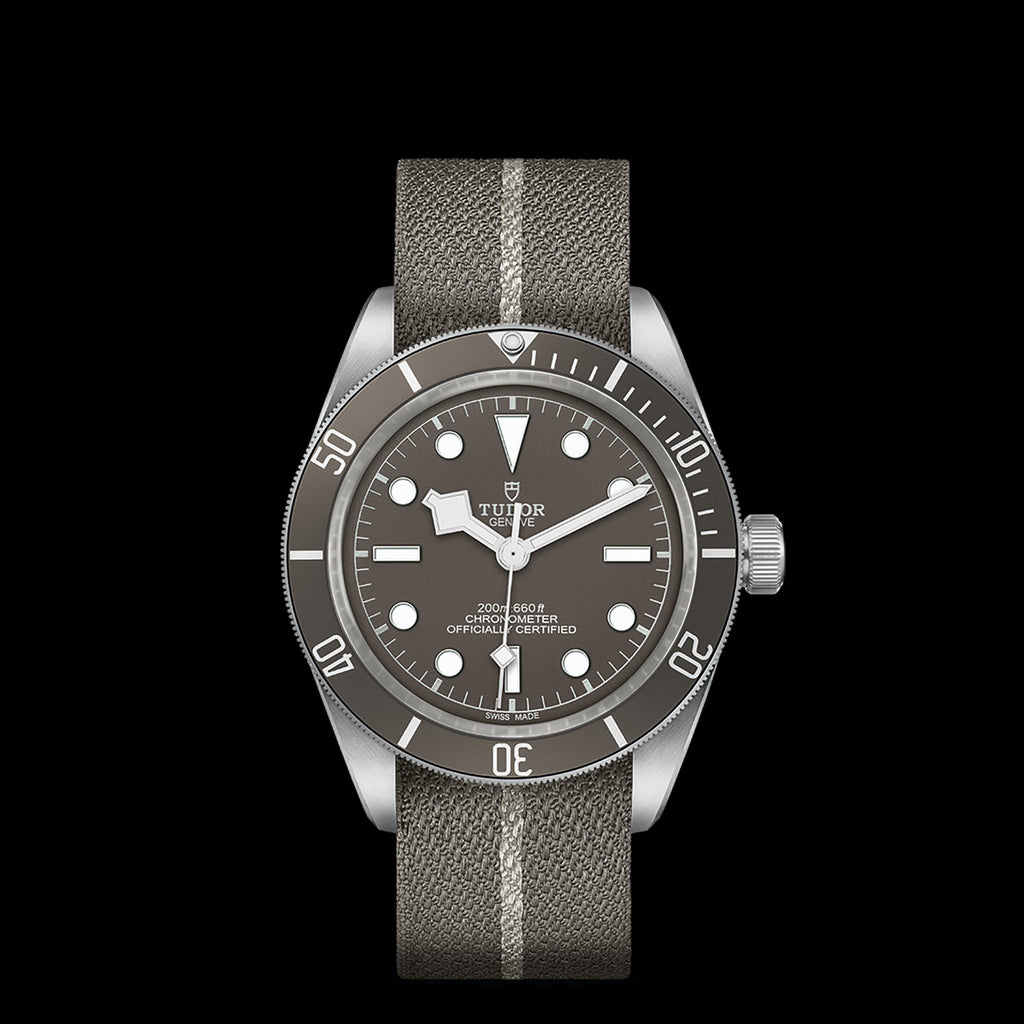 TUDOR Black Bay 58 925 - M79010SG-0002