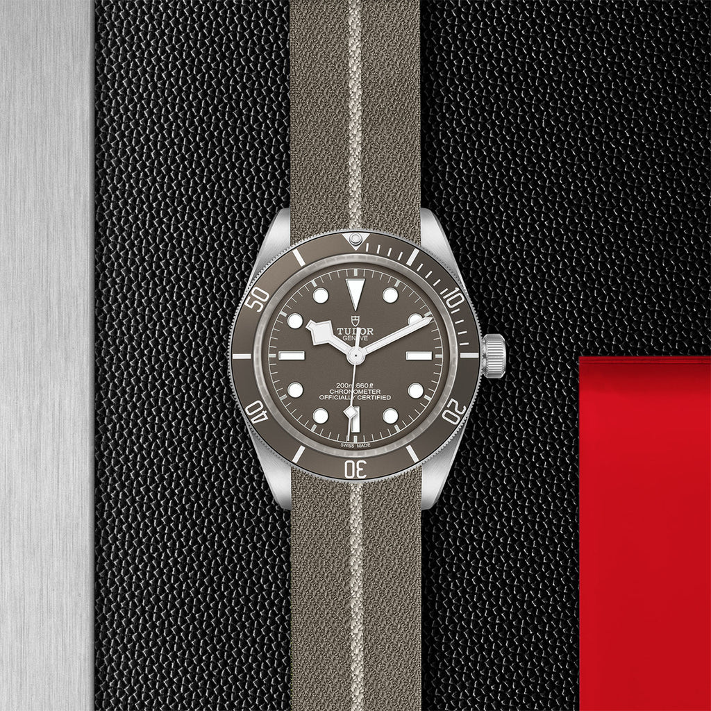 TUDOR Black Bay 58 925 - M79010SG-0002