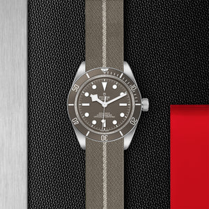 TUDOR Black Bay 58 925 - M79010SG-0002