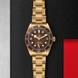 TUDOR Black Bay 58 Bronze - M79012M-0001