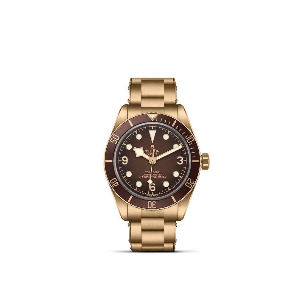 TUDOR Black Bay 58 Bronze - M79012M-0001