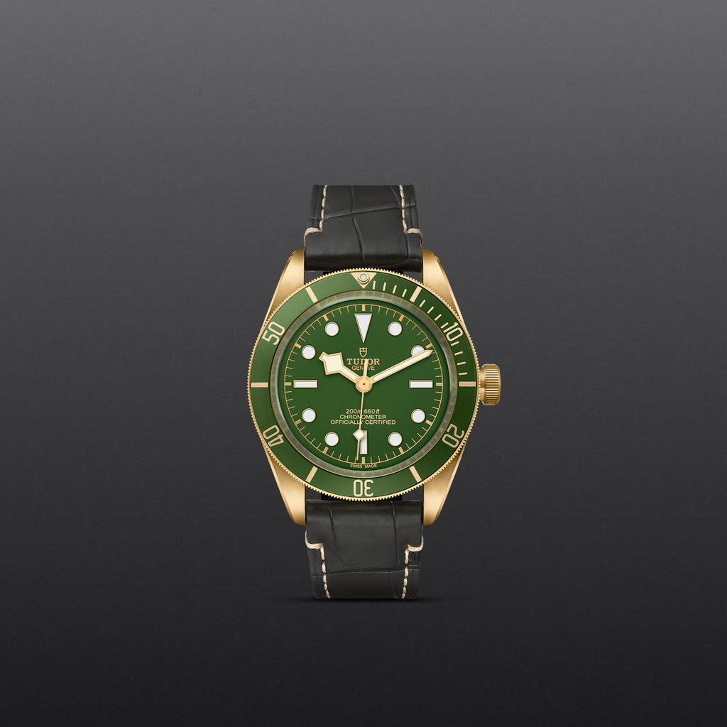 TUDOR Black Bay 58 18k - M79018V-0001