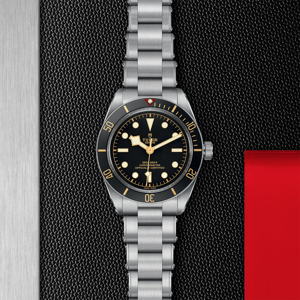 TUDOR Black Bay 58 - M79030N-0001