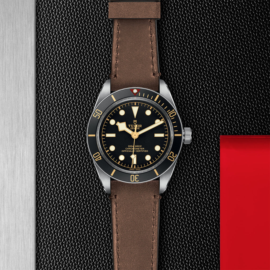 TUDOR Black Bay 58 - M79030N-0002