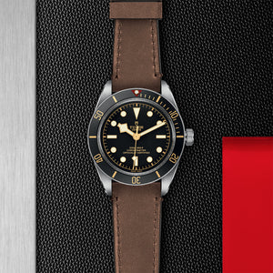 TUDOR Black Bay 58 - M79030N-0002