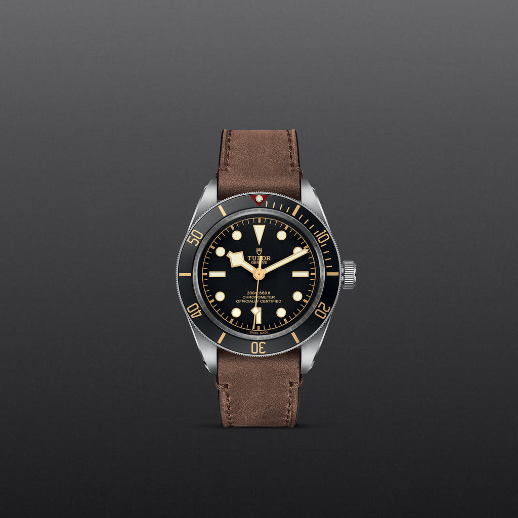 TUDOR Black Bay 58 - M79030N-0002