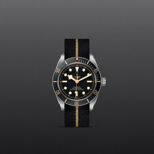 TUDOR Black Bay 58 - M79030N-0003