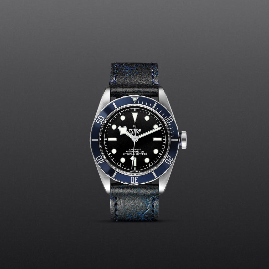 TUDOR Black Bay - M79230B-0007