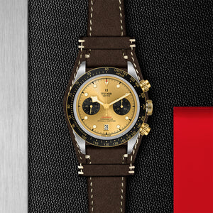 TUDOR Black Bay Chrono S&G - M79363N-0008