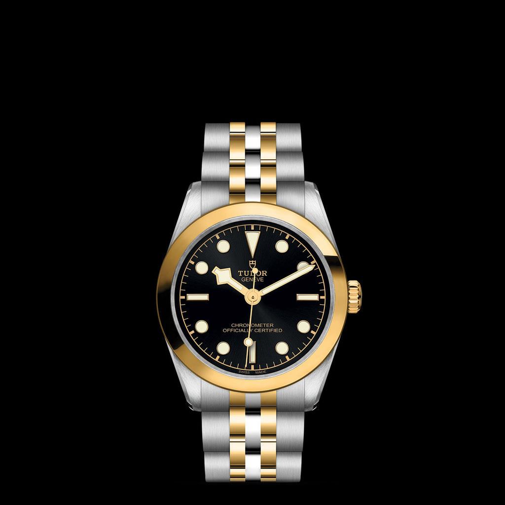 TUDOR Black Bay 31/36/39/41 - M79603-0001