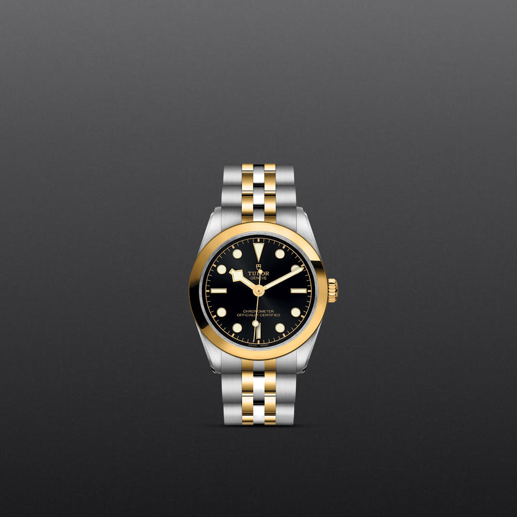 TUDOR Black Bay 31/36/39/41 - M79603-0001