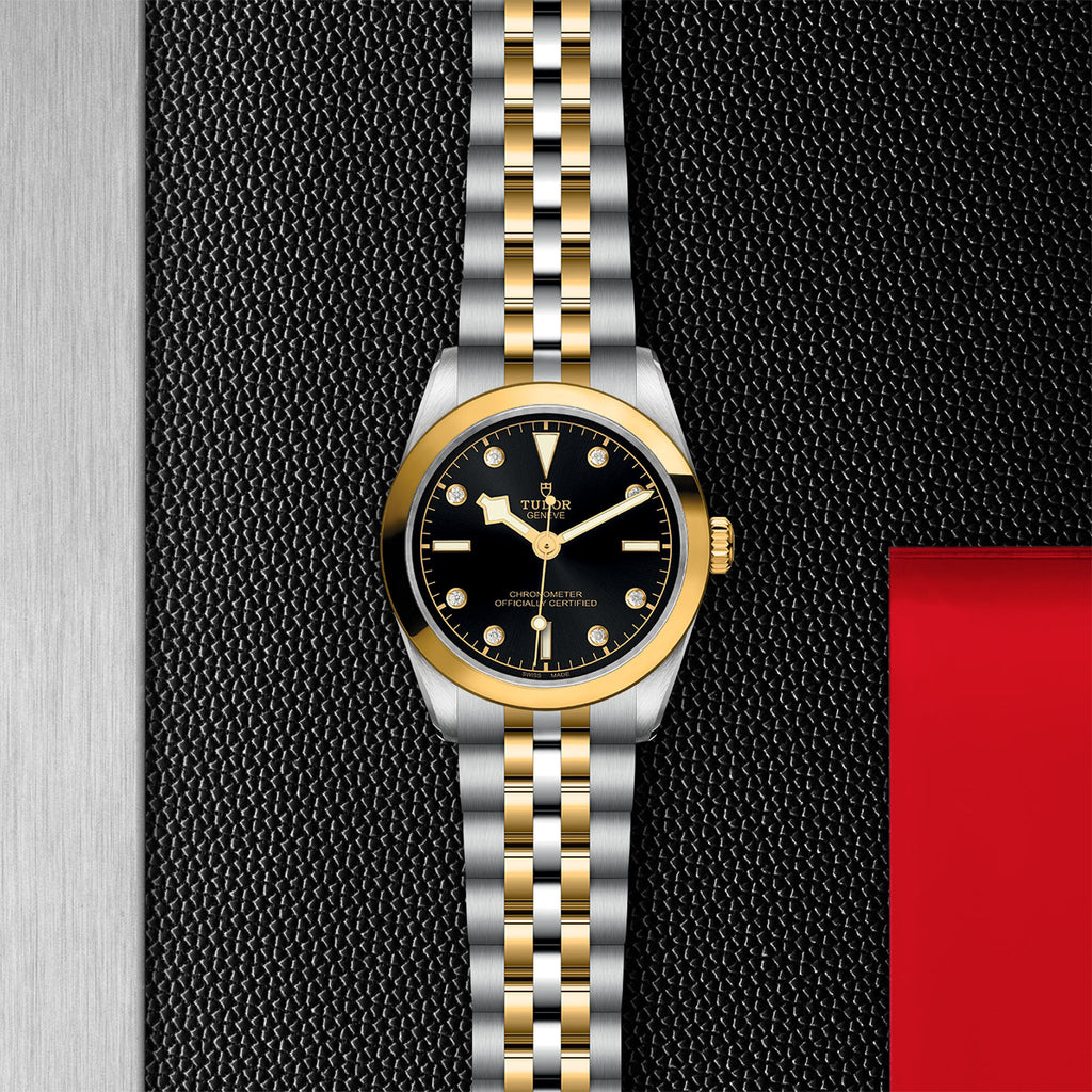 TUDOR Black Bay 31/36/39/41 - M79603-0006