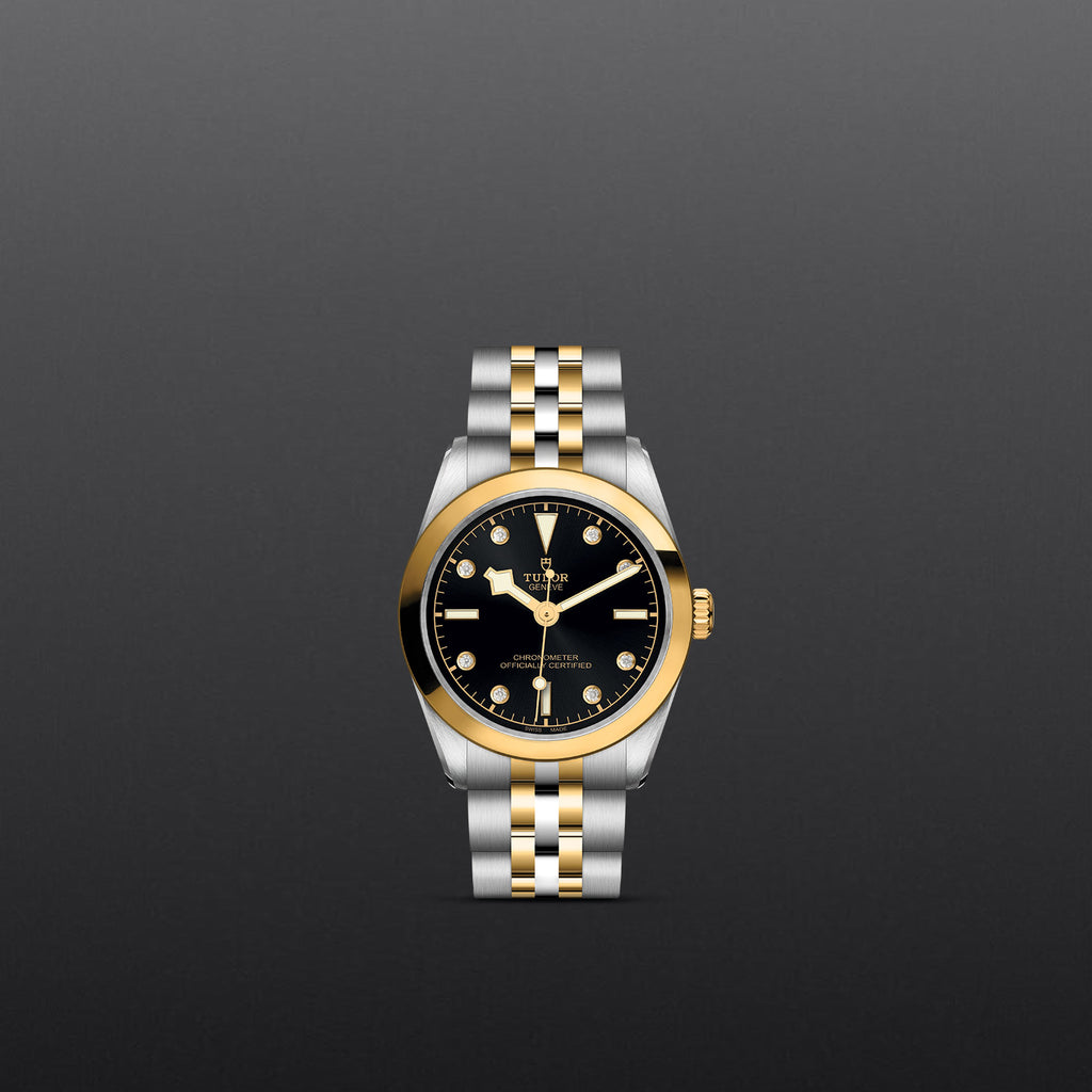 TUDOR Black Bay 31/36/39/41 - M79603-0006