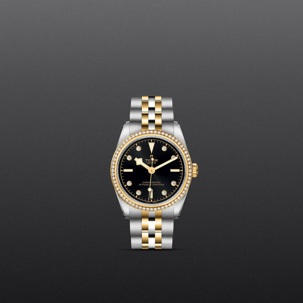 TUDOR Black Bay 31/36/39/41 - M79613-0005