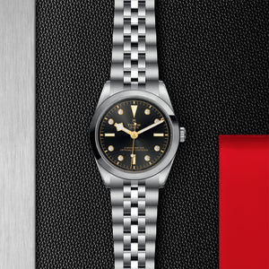 TUDOR Black Bay 31/36/39/41 - M79640-0004