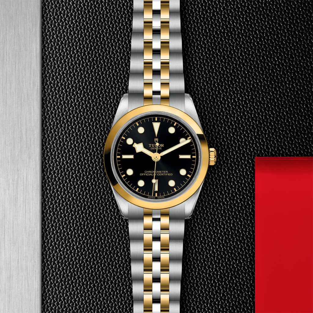 TUDOR Black Bay 31/36/39/41 - M79643-0001