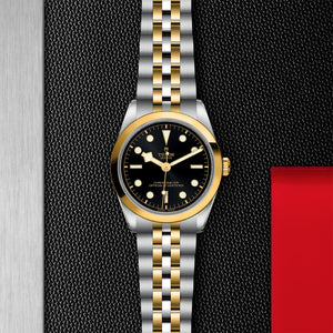 TUDOR Black Bay 31/36/39/41 - M79643-0001