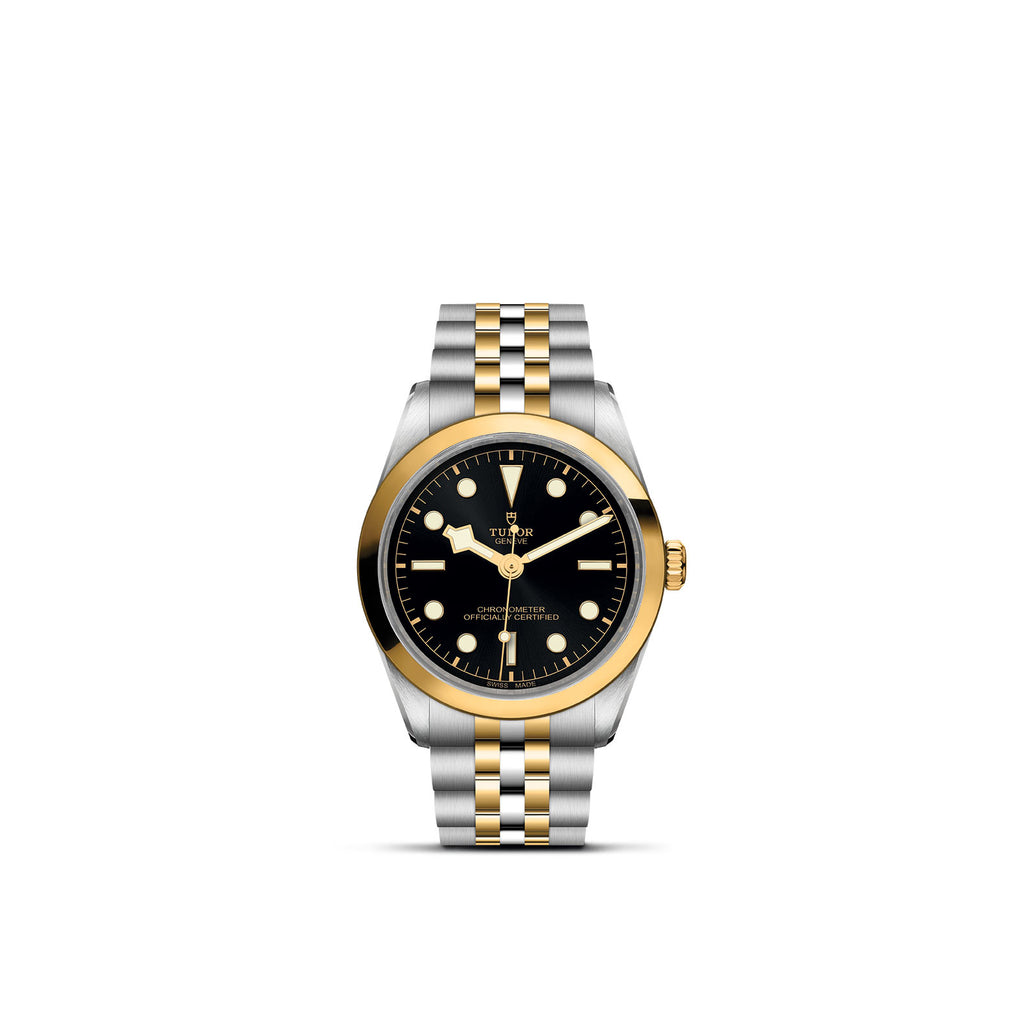 TUDOR Black Bay 31/36/39/41 - M79643-0001