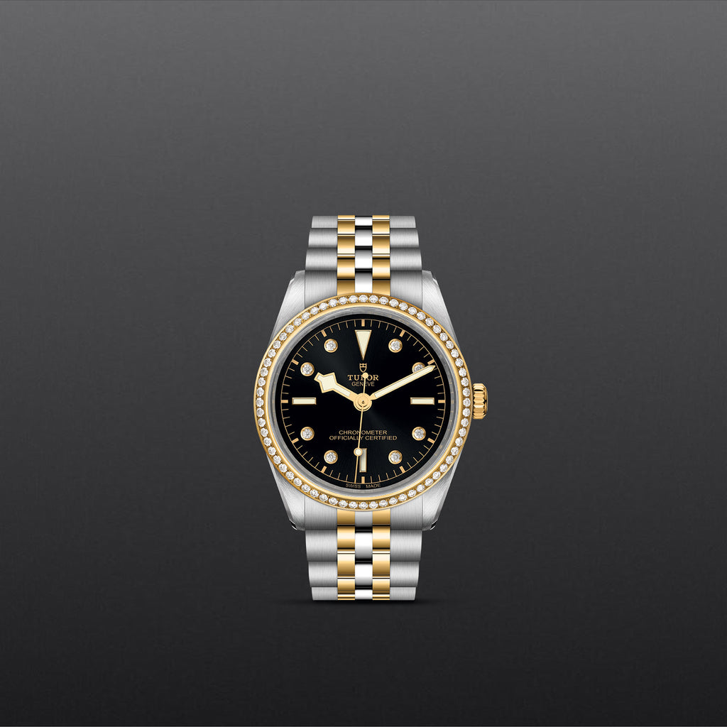 TUDOR Black Bay 31/36/39/41 - M79653-0005