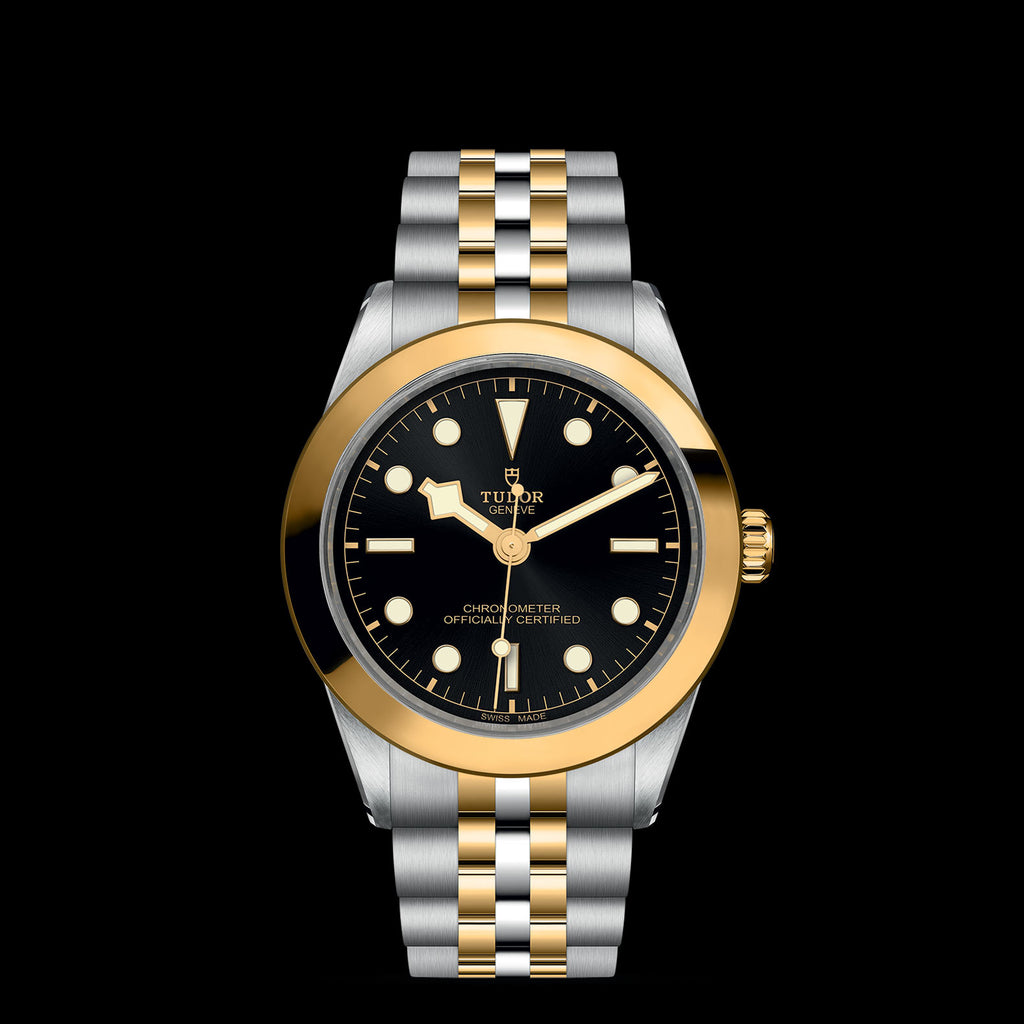 TUDOR Black Bay 31/36/39/41 - M79663-0001