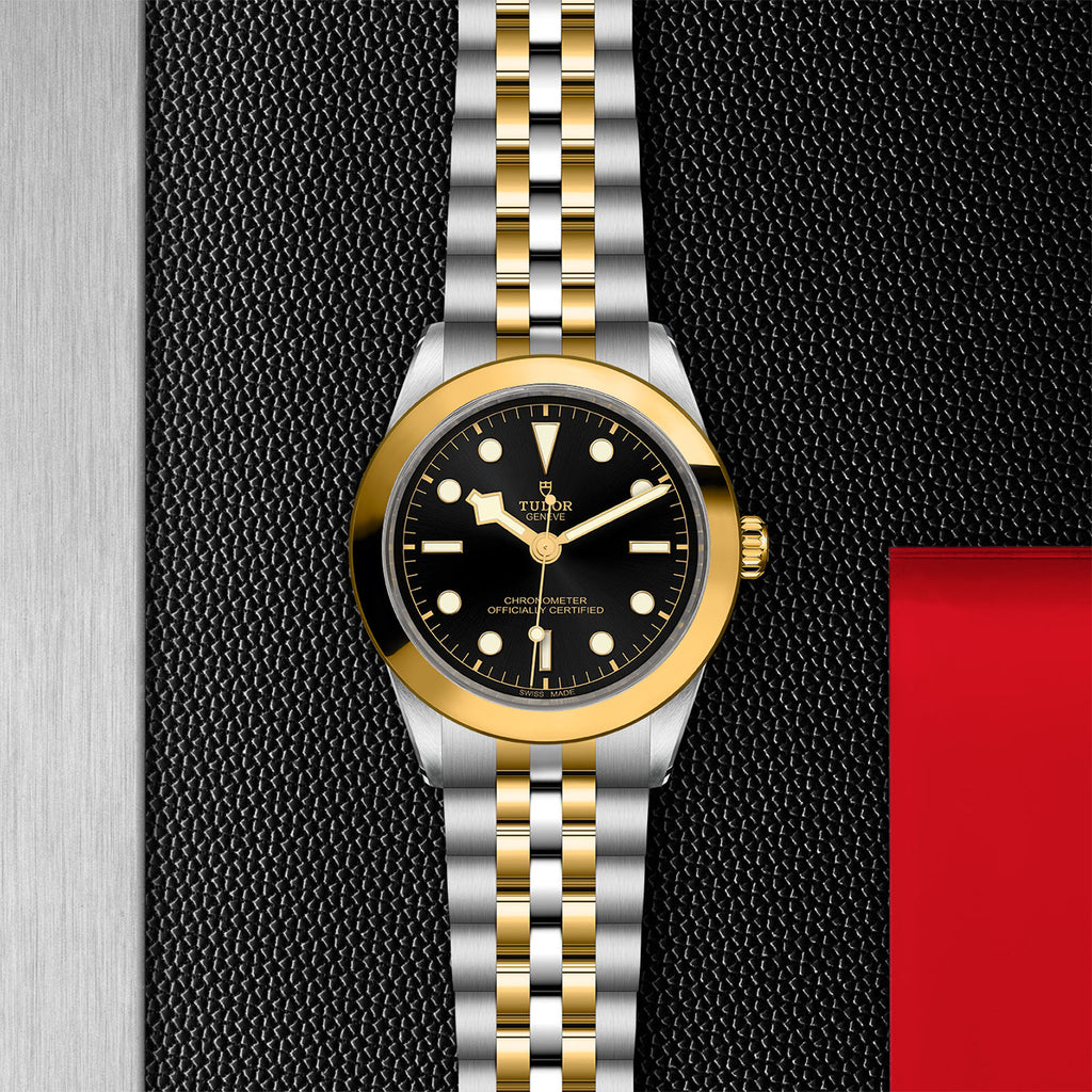 TUDOR Black Bay 31/36/39/41 - M79663-0001