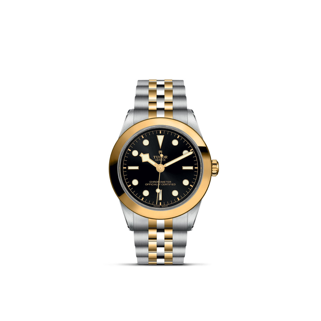 TUDOR Black Bay 31/36/39/41 - M79663-0001