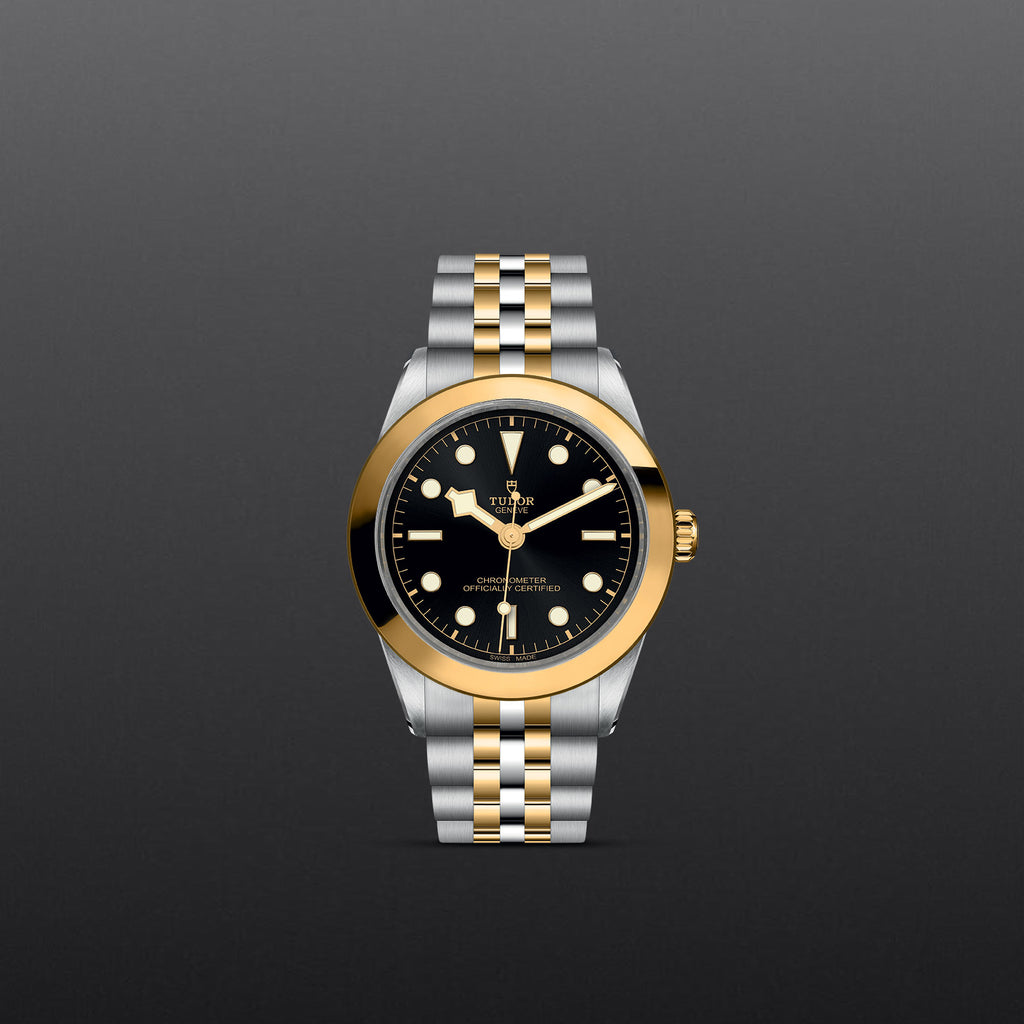 TUDOR Black Bay 31/36/39/41 - M79663-0001