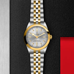 TUDOR Black Bay 31/36/39/41 - M79663-0007