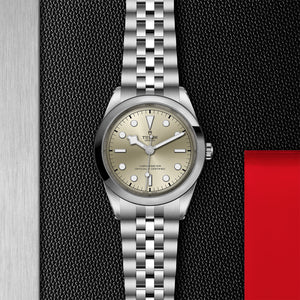 TUDOR Black Bay 31/36/39/41 - M79680-0003