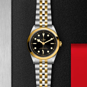 TUDOR Black Bay 31/36/39/41 - M79683-0001