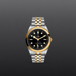 TUDOR Black Bay 31/36/39/41 - M79683-0001