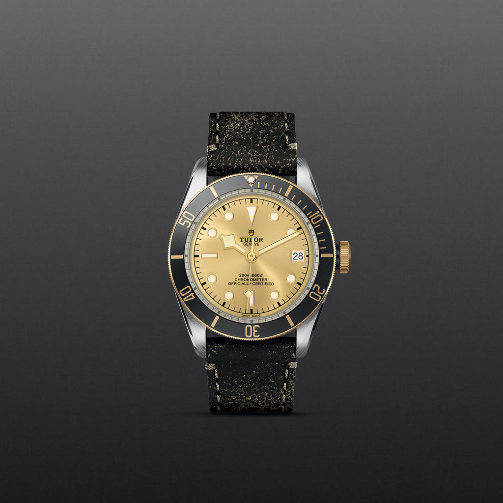 TUDOR Black Bay S&G - M79733N-0003