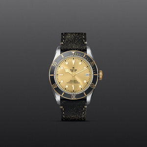 TUDOR Black Bay S&G - M79733N-0003