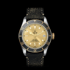 TUDOR Black Bay S&G - M79733N-0003