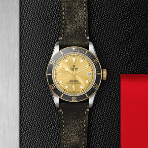 TUDOR Black Bay S&G - M79733N-0003