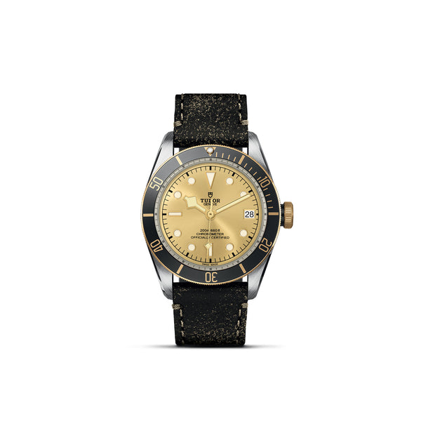 TUDOR Black Bay S&G - M79733N-0003