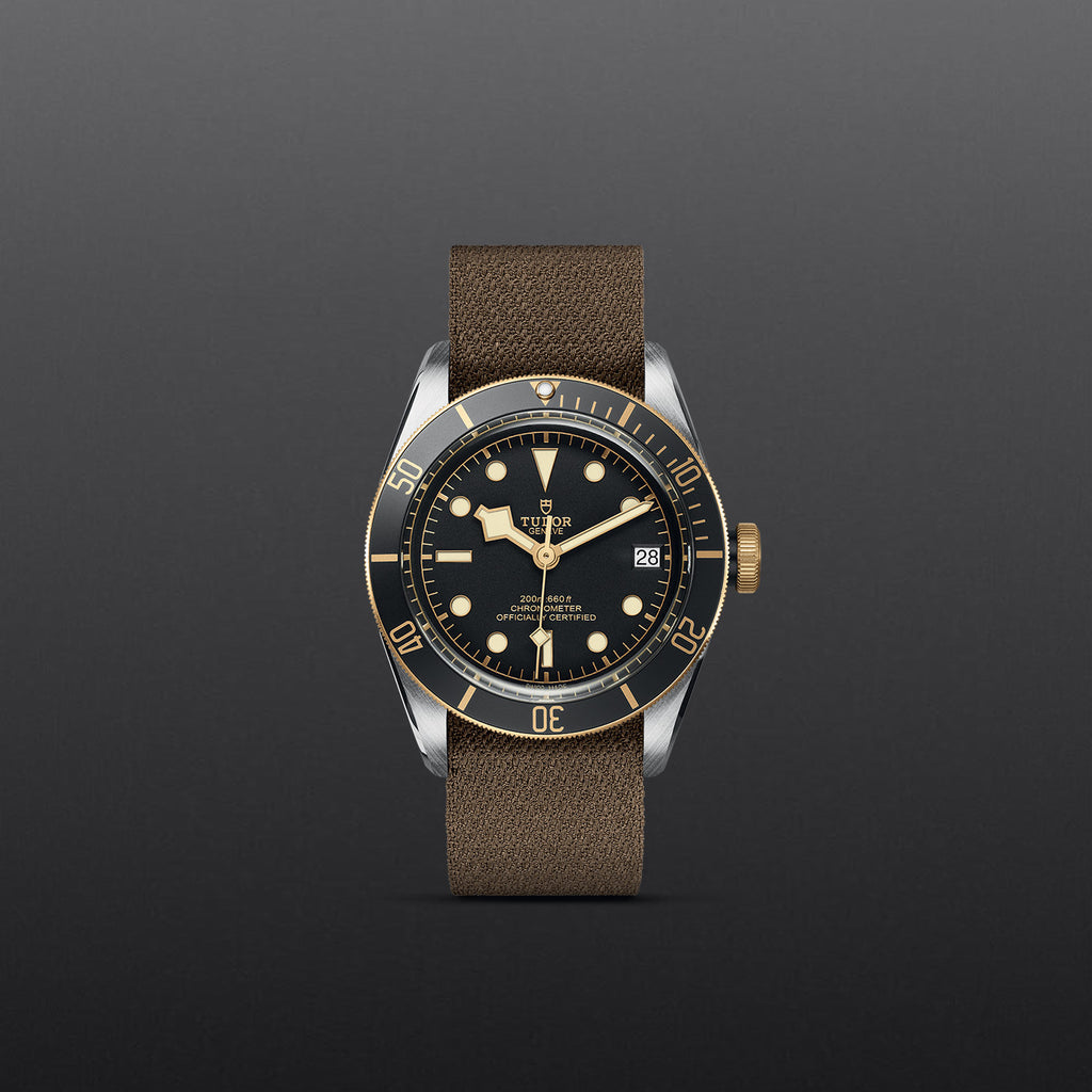 TUDOR Black Bay S&G - M79733N-0005