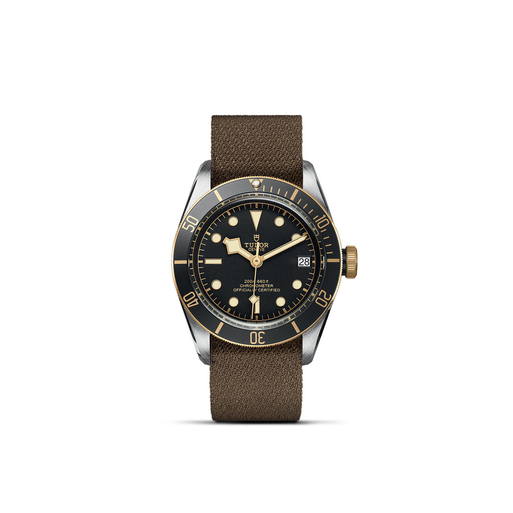 TUDOR Black Bay S&G - M79733N-0005