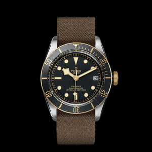 TUDOR Black Bay S&G - M79733N-0005