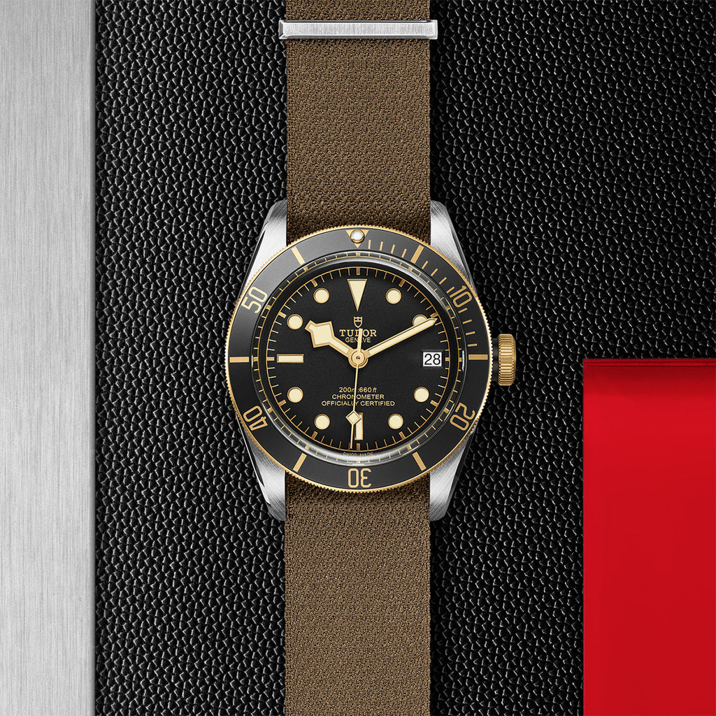 TUDOR Black Bay S&G - M79733N-0005