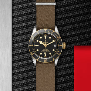 TUDOR Black Bay S&G - M79733N-0005