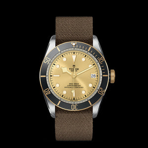 TUDOR Black Bay S&G - M79733N-0006