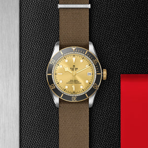 TUDOR Black Bay S&G - M79733N-0006