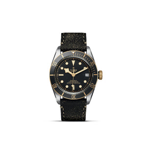 TUDOR Black Bay S&G - M79733N-0007