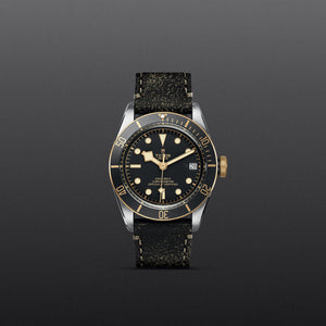 TUDOR Black Bay S&G - M79733N-0007