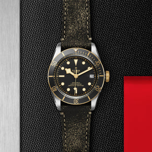 TUDOR Black Bay S&G - M79733N-0007